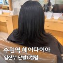 정빈헤어 - 영도구 | 수원미용실 헤어다이아 수원역점 임산부 단발C컬펌 정빈디자이너