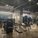 그레이짐 이미지