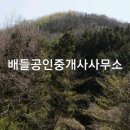 장성공인중개사사무소 이미지