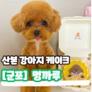 멍까루 이미지