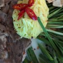 만원의행복주점 이미지