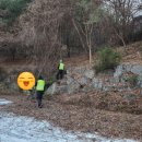 (주)계림조경자재 | 주택 외부 공간 변신, 고양 김포 조경공사 체험기