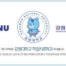 네이처컬렉션강원 - 화천군 중앙로 10-3 | 네이처컬렉션강원