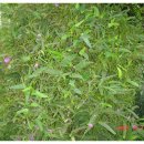 강산한의원 이미지