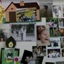 요니통신 JTBC