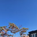 제이와이팜 네이버블로그