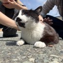 주옥홈