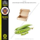 디자인봄미술학원