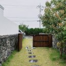 네이처러스 판포나일 이미지