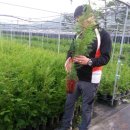 영림목장 이미지