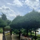 용담사입구화장실 | 안동 여행 가볼 만한 곳 | 도산서원, 월영교, 용담사 계곡