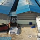 송해농장 이미지