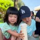 섬강매향골마을 | 56개월 6살 둘째딸 유치원생활 165~166일째 매향골 손수건 물들이기 레고 해파리만들기