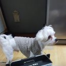 충북인삼농협 이미지