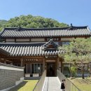 김천 가볼만한곳 직지사 사명대사공원 솔향스테이 달솔빛 숙박 후기 분위기