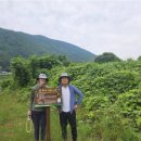 김동일농장 이미지