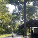 택시쉼터 | 치앙마이 12월 여행 (2) 왓파랏트레킹 / 택시, 입장료, 소요시간 후기