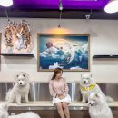 겨울이머무는집 이미지