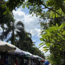 삼호슈퍼 | 발리 8박 10일 여행 일정② | 우붓 마사지샵 푸트리 스파 | 코코 슈퍼마켓 | 시트러스 베리 나시고랭 맛집