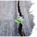 토닥토닥그림책연구소 이미지