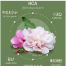 (주)무궁화식품 티스토리