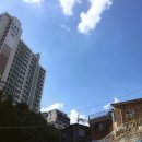 침착하고느린손
