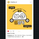 댕댕카 이미지