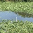 동명헬스 이미지