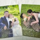 w-23 | [w.23] 내돈내산 로즈레터 청첩장 솔직후기