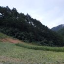 세호농장 이미지