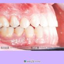 박현정치과의원 이미지