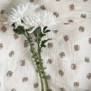 굿바이펫 이미지