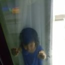 흰수염고래리조트 이미지