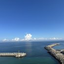 통영서울약국 | <<내돈내산>> 제주 파비오투어 영어가이드 후기