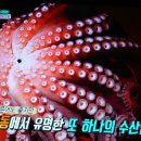 안동구시장 이미지
