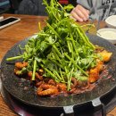 망원역맛집 오늘은쭈꾸미 망원직영점 내돈내산후기