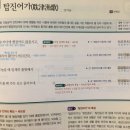탐진어가 이미지