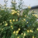 동산마을노인정 이미지