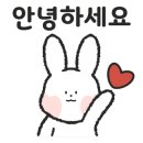 쉬크레마카롱전문점 이미지