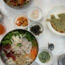 송원애견 이미지