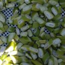 용우농장 이미지