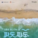 바다 데일리안