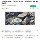 "지뢰인 것 같아요"…주민 신고에 119 출동해보니 이미지