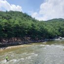 거창 창포원 수승대/문화유산/성령산(448m)트레킹(240721) 이미지