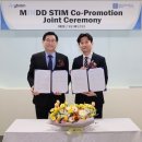 와이31