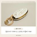 스마트자동차 | 세련된 화이트골드 감성! 블루지브라키케이스, 현대 차 키케이스 스마트 자동차 커버 사용 후기