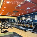 일죽스포렉스 이미지