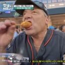 (주)와이즈나인 | 어디?대전,장태산,출렁다리,성심당,한화이글스,부인,헤일리,예고,416회,라이언와이즈,태세계,타망,라이