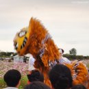 삭선2리 다목적회관 | [공연] 2025평택농업경관공중서커스 관람 솔직후기