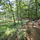 양지말공원 이미지